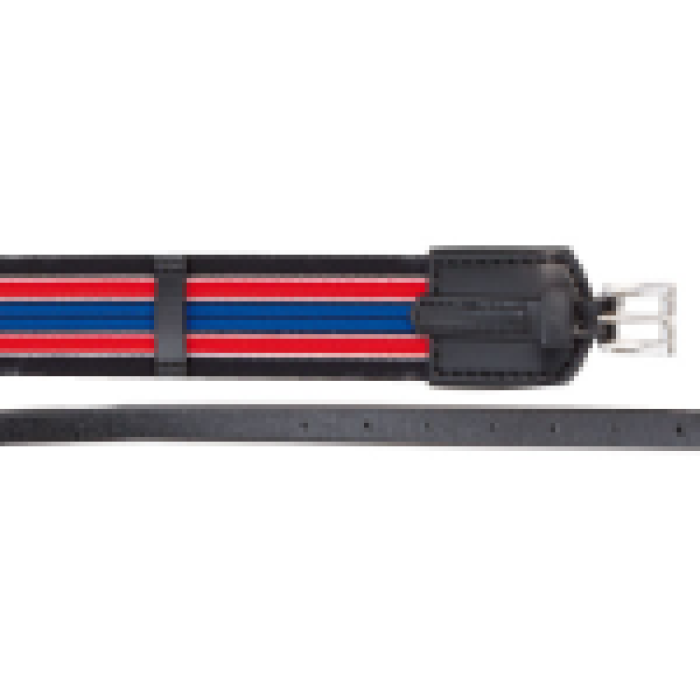 50 mm Elastic Surcingle