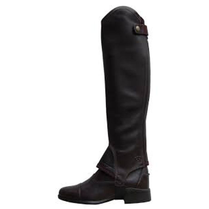Ariat Concord Chap Chocolate - Unisexed