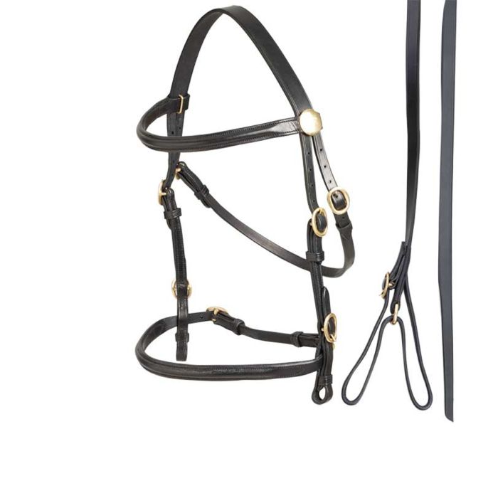 In Hand Bridle - Black