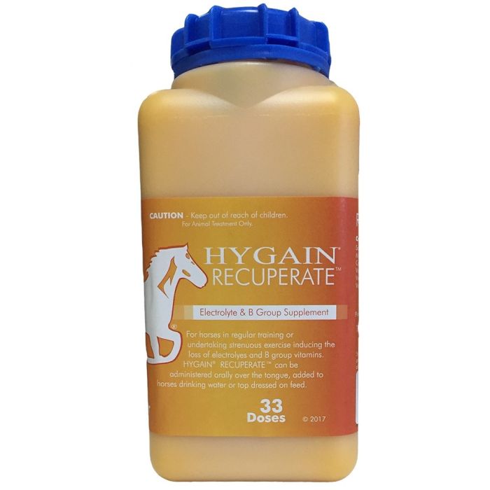 HyGain Recuperate 1L