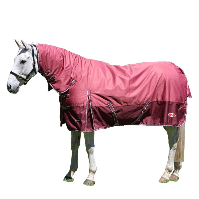 Zilco Explorer 200 Combo Horse Rug