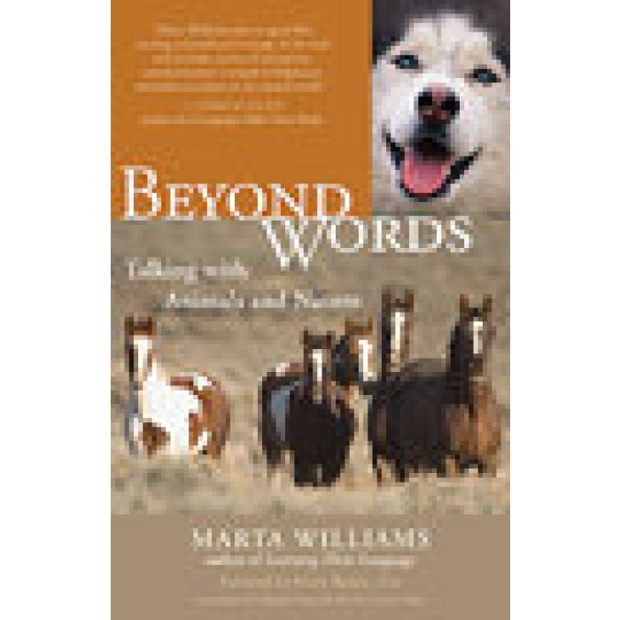 Beyond Words by Marta WILLIAMS 