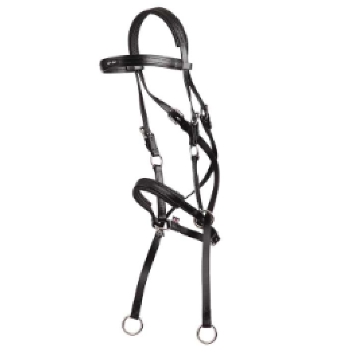 Bitless Bridle