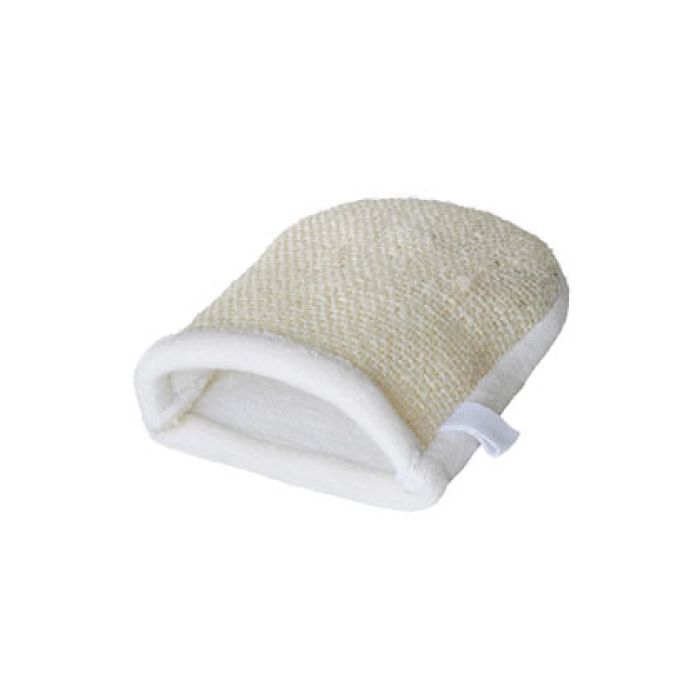 Cactus Grooming Mitt