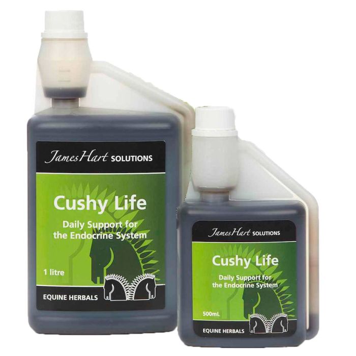 James Hart - Cushy Life