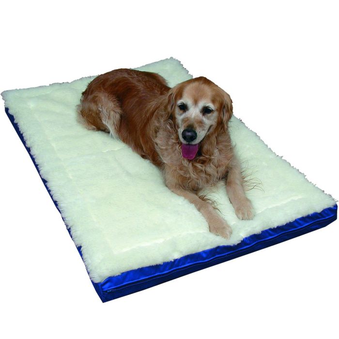 Dick Wicks Magnetic Pet Bed