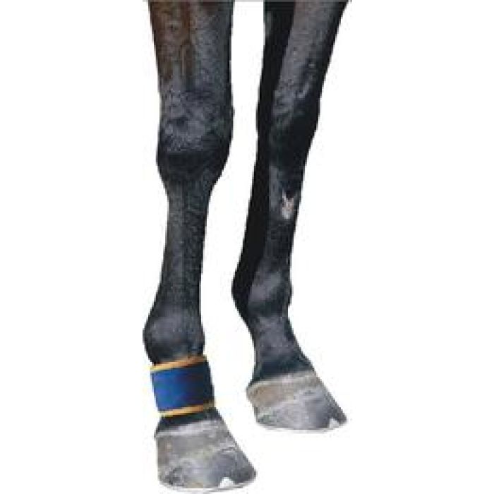 Dick Wicks, Magnetic Pastern / Fetlock Boot Natural Pain relief