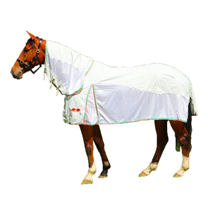 Zilco Econo Hybrid Combo