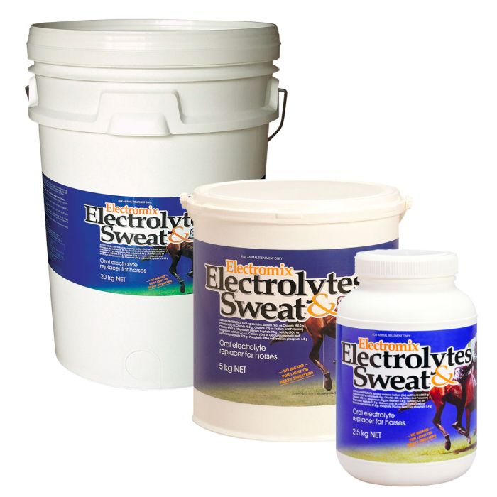  Electromix Electrolytes and Sweat