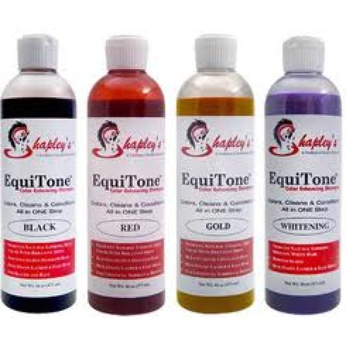 Equitone Shampoo