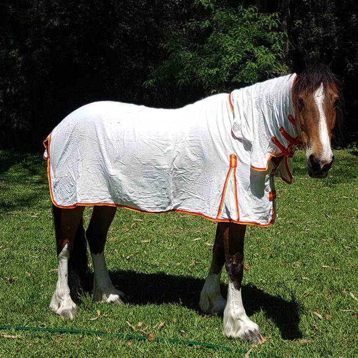 Equestrian Flag Combo - 3'0" & 3'3" Only