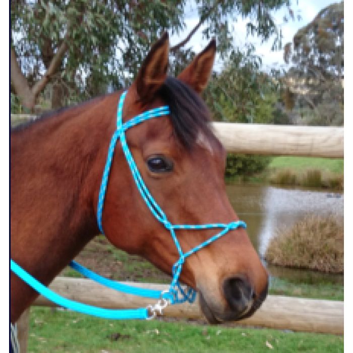 Freedom Bitless Bridle