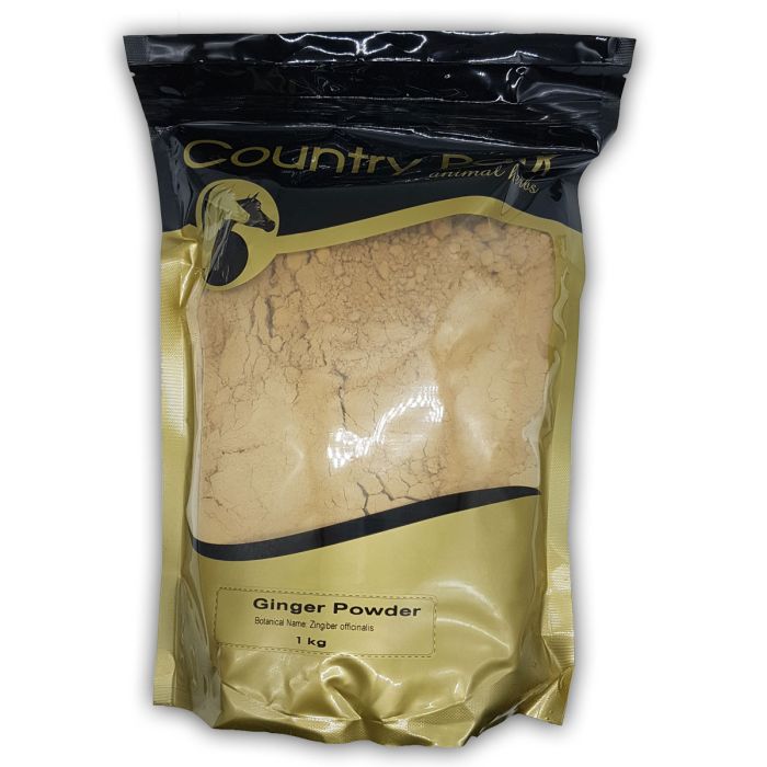 Ginger Powder 1kg