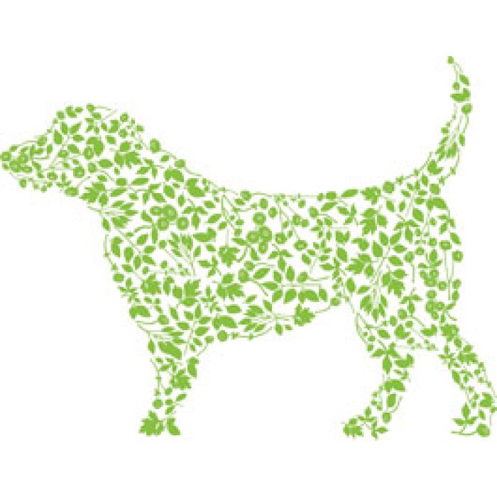 Canine Performance Plus by Brookby Herbs