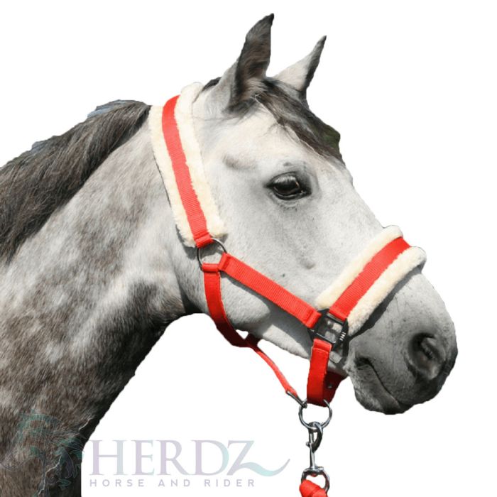 Horzehoods Halter Set - Orange