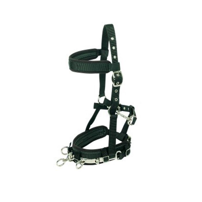 Delux Lunging Halter - Cob / Full