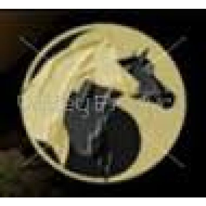 Rosemary by Country Park