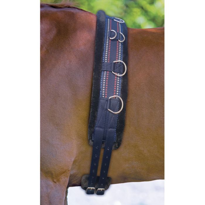 Enzo Lunge Roller Fleece Lined