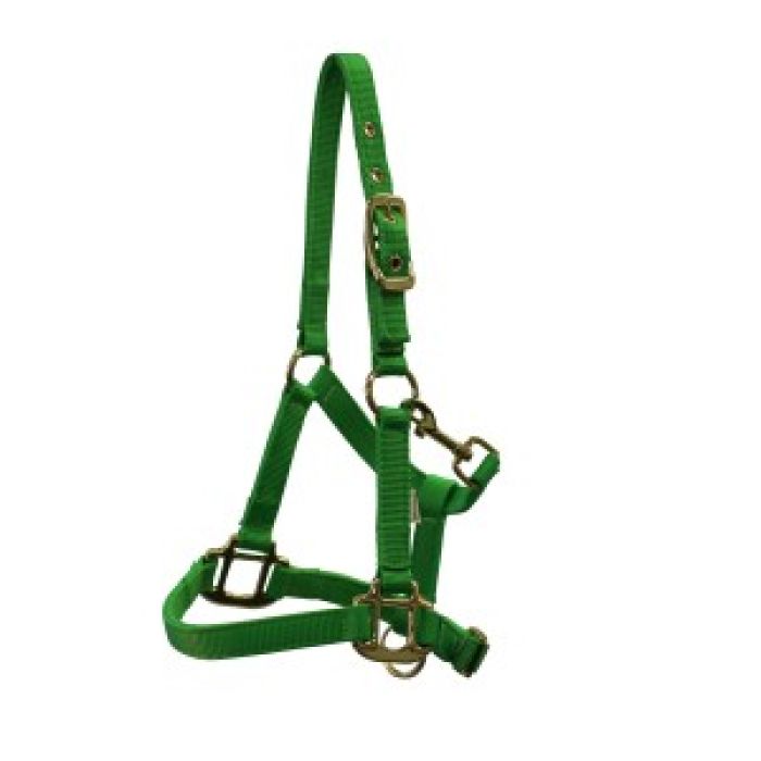 Piccolo Premium Mini Horse Halter