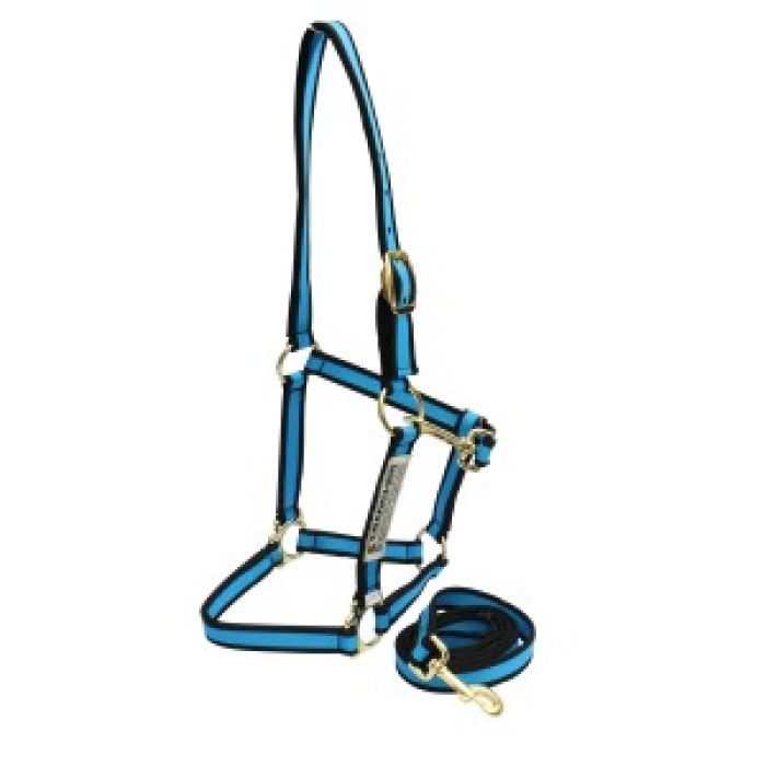 Rancher Soft Web Halter & Lead Set