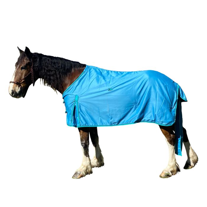 Kool Master Flag Combo