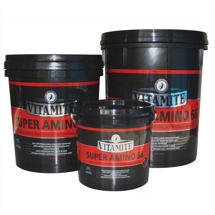 Mitavite SUPER AMINO 66