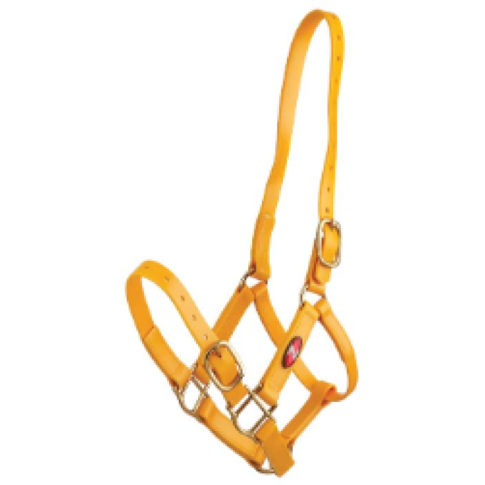 Zilco 25mm PN Headstall